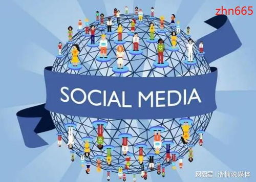 全媒体广告 概念、实施与加盟指南